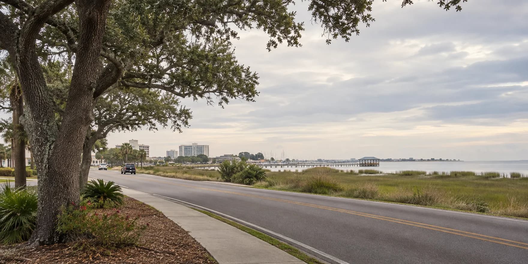 A quiet coastal road beneath live oaks beside the water.